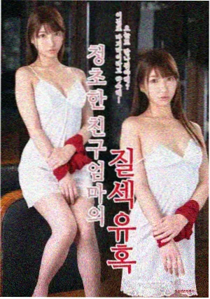 傲慢与偏见1995BBC迷你剧完整版封面